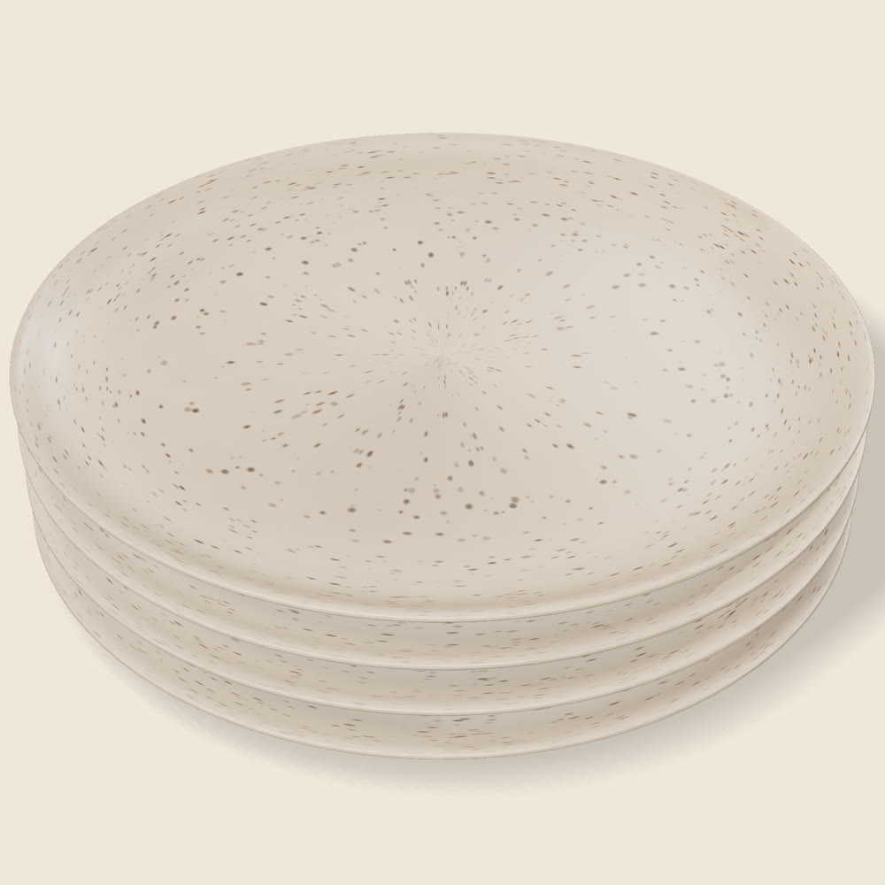 Driftwood Plate Set (4)